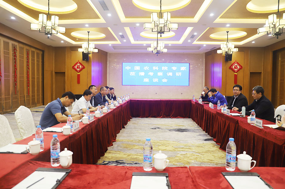 【農(nóng)投動(dòng)態(tài)】| 中國農(nóng)科院專家到播州國際辣椒產(chǎn)業(yè)園調(diào)研