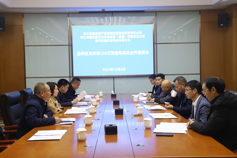 播州區(qū)蛋雞養(yǎng)殖項目達(dá)成初步合作意向